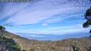./images/calvert/fitz-hugh-hecate/20260905/fitz-hugh-hecate20260905_165001M.jpg