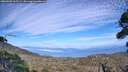 ./images/calvert/fitz-hugh-hecate/20260905/fitz-hugh-hecate20260905_165502M.jpg