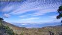 ./images/calvert/fitz-hugh-hecate/20260905/fitz-hugh-hecate20260905_171001M.jpg