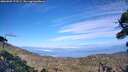 ./images/calvert/fitz-hugh-hecate/20260905/fitz-hugh-hecate20260905_172501M.jpg
