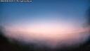 ./images/calvert/fitz-hugh-hecate/20260906/fitz-hugh-hecate20260906_062501M.jpg