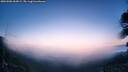 ./images/calvert/fitz-hugh-hecate/20260906/fitz-hugh-hecate20260906_063001M.jpg