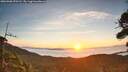 ./images/calvert/fitz-hugh-hecate/20260906/fitz-hugh-hecate20260906_070502M.jpg