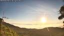 ./images/calvert/fitz-hugh-hecate/20260906/fitz-hugh-hecate20260906_074501M.jpg