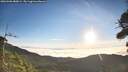 ./images/calvert/fitz-hugh-hecate/20260906/fitz-hugh-hecate20260906_080001M.jpg