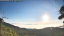 ./images/calvert/fitz-hugh-hecate/20260906/fitz-hugh-hecate20260906_080501M.jpg