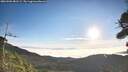 ./images/calvert/fitz-hugh-hecate/20260906/fitz-hugh-hecate20260906_081501M.jpg