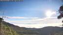 ./images/calvert/fitz-hugh-hecate/20260906/fitz-hugh-hecate20260906_084002M.jpg
