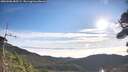 ./images/calvert/fitz-hugh-hecate/20260906/fitz-hugh-hecate20260906_085501M.jpg