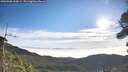 ./images/calvert/fitz-hugh-hecate/20260906/fitz-hugh-hecate20260906_090001M.jpg