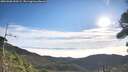 ./images/calvert/fitz-hugh-hecate/20260906/fitz-hugh-hecate20260906_090501M.jpg
