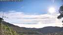 ./images/calvert/fitz-hugh-hecate/20260906/fitz-hugh-hecate20260906_091001M.jpg