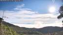 ./images/calvert/fitz-hugh-hecate/20260906/fitz-hugh-hecate20260906_091501M.jpg