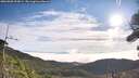 ./images/calvert/fitz-hugh-hecate/20260906/fitz-hugh-hecate20260906_092001M.jpg