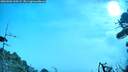 ./images/calvert/fitz-hugh-hecate/20260906/fitz-hugh-hecate20260906_100501M.jpg