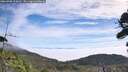 ./images/calvert/fitz-hugh-hecate/20260906/fitz-hugh-hecate20260906_111001M.jpg