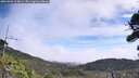 ./images/calvert/fitz-hugh-hecate/20260906/fitz-hugh-hecate20260906_114001M.jpg