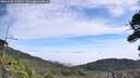 ./images/calvert/fitz-hugh-hecate/20260906/fitz-hugh-hecate20260906_115001M.jpg