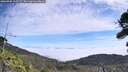 ./images/calvert/fitz-hugh-hecate/20260906/fitz-hugh-hecate20260906_115502M.jpg