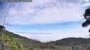 ./images/calvert/fitz-hugh-hecate/20260906/fitz-hugh-hecate20260906_120001M.jpg