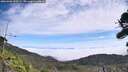 ./images/calvert/fitz-hugh-hecate/20260906/fitz-hugh-hecate20260906_120501M.jpg