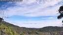 ./images/calvert/fitz-hugh-hecate/20260906/fitz-hugh-hecate20260906_121501M.jpg