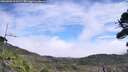 ./images/calvert/fitz-hugh-hecate/20260906/fitz-hugh-hecate20260906_123501M.jpg