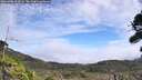./images/calvert/fitz-hugh-hecate/20260906/fitz-hugh-hecate20260906_124501M.jpg