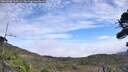./images/calvert/fitz-hugh-hecate/20260906/fitz-hugh-hecate20260906_125002M.jpg