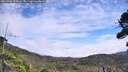 ./images/calvert/fitz-hugh-hecate/20260906/fitz-hugh-hecate20260906_130001M.jpg