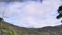 ./images/calvert/fitz-hugh-hecate/20260906/fitz-hugh-hecate20260906_131501M.jpg