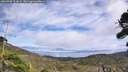 ./images/calvert/fitz-hugh-hecate/20260906/fitz-hugh-hecate20260906_134001M.jpg