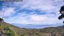 ./images/calvert/fitz-hugh-hecate/20260906/fitz-hugh-hecate20260906_135001M.jpg