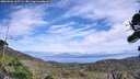 ./images/calvert/fitz-hugh-hecate/20260906/fitz-hugh-hecate20260906_135501M.jpg