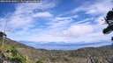 ./images/calvert/fitz-hugh-hecate/20260906/fitz-hugh-hecate20260906_140001M.jpg