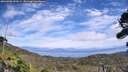 ./images/calvert/fitz-hugh-hecate/20260906/fitz-hugh-hecate20260906_141001M.jpg
