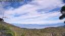 ./images/calvert/fitz-hugh-hecate/20260906/fitz-hugh-hecate20260906_153501M.jpg