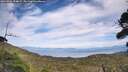 ./images/calvert/fitz-hugh-hecate/20260906/fitz-hugh-hecate20260906_154002M.jpg