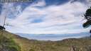 ./images/calvert/fitz-hugh-hecate/20260906/fitz-hugh-hecate20260906_154501M.jpg