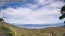 ./images/calvert/fitz-hugh-hecate/20260906/fitz-hugh-hecate20260906_162002M.jpg