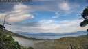 ./images/calvert/fitz-hugh-hecate/20260906/fitz-hugh-hecate20260906_185001M.jpg