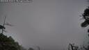./images/calvert/fitz-hugh-hecate/20260906/fitz-hugh-hecate20260906_202501M.jpg