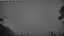 ./images/calvert/fitz-hugh-hecate/20260906/fitz-hugh-hecate20260906_204002M.jpg