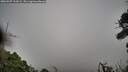 ./images/calvert/fitz-hugh-hecate/20260907/fitz-hugh-hecate20260907_102001M.jpg
