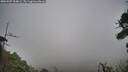 ./images/calvert/fitz-hugh-hecate/20260907/fitz-hugh-hecate20260907_104002M.jpg