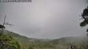 ./images/calvert/fitz-hugh-hecate/20260907/fitz-hugh-hecate20260907_191502M.jpg
