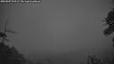 ./images/calvert/fitz-hugh-hecate/20260907/fitz-hugh-hecate20260907_203501M.jpg