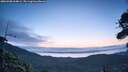 ./images/calvert/fitz-hugh-hecate/20260908/fitz-hugh-hecate20260908_064001M.jpg