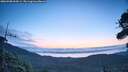 ./images/calvert/fitz-hugh-hecate/20260908/fitz-hugh-hecate20260908_064501M.jpg