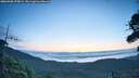 ./images/calvert/fitz-hugh-hecate/20260908/fitz-hugh-hecate20260908_070002M.jpg